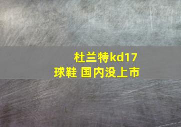 杜兰特kd17球鞋 国内没上市